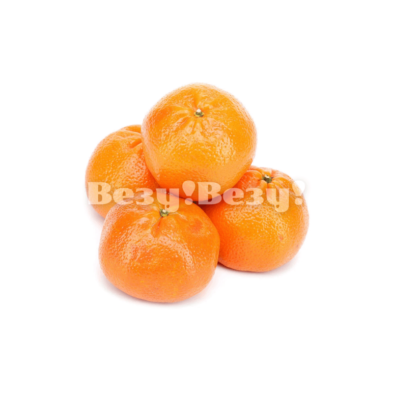 купить в рудном мандарины