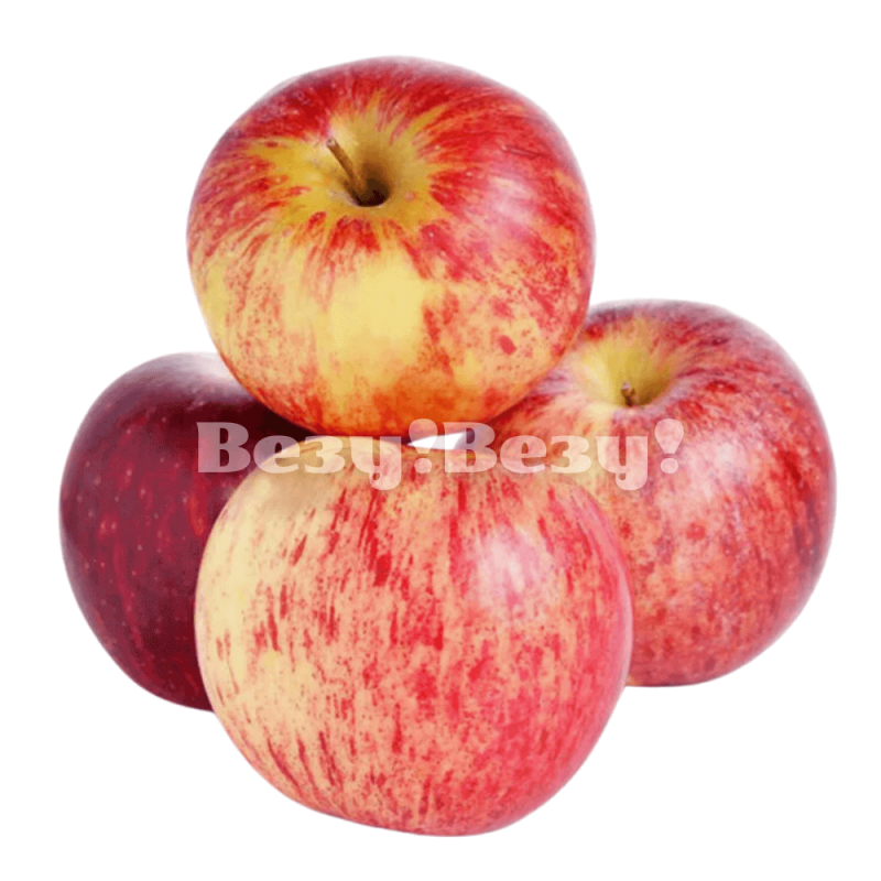 Везу! ВЕЗУ! (2) (1) (2) (2) (1) (1)