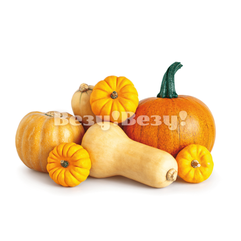 Тыква Рудный